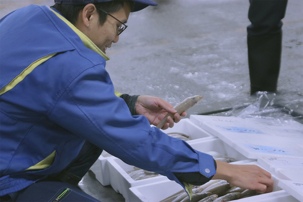水産サプライチェーン体験