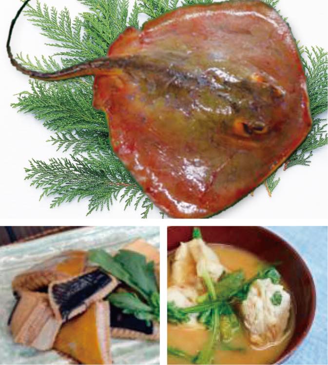 広島県産応援登録制度