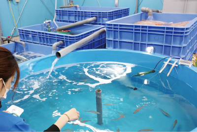 種苗研究センター