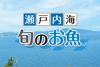 瀬戸内海 旬のお魚